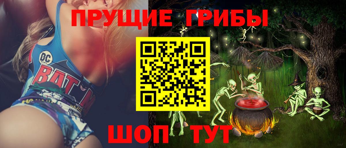 Галлюциногенные грибы GOLDEN TEACHER Каменск-Шахтинский