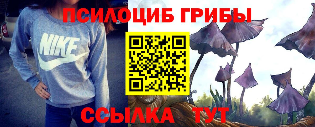 Галлюциногенные грибы Psilocybine cubensis  Вход с VPN  Каменск-Шахтинский 